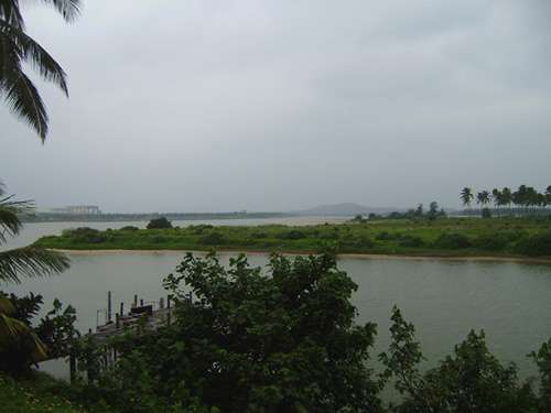20100402144956554.jpg